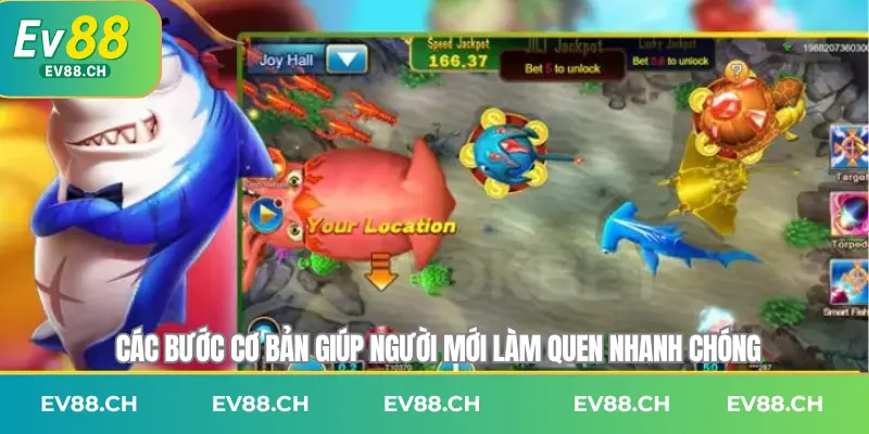 Các bước cơ bản giúp người mới làm quen nhanh chóng