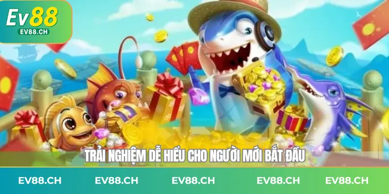 Trải nghiệm dễ hiểu cho người mới bắt đầu