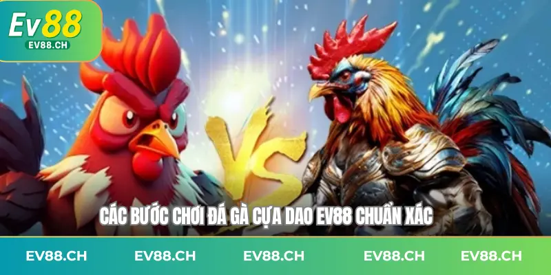 Các bước chơi đá gà cựa dao EV88 chuẩn xác
