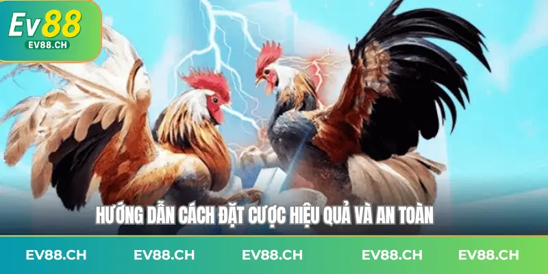 Hướng dẫn cách đặt cược hiệu quả và an toàn