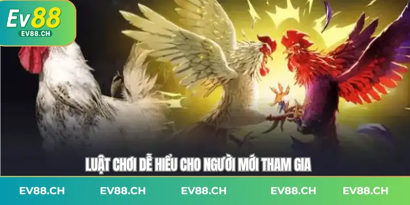 Luật chơi dễ hiểu cho người mới tham gia