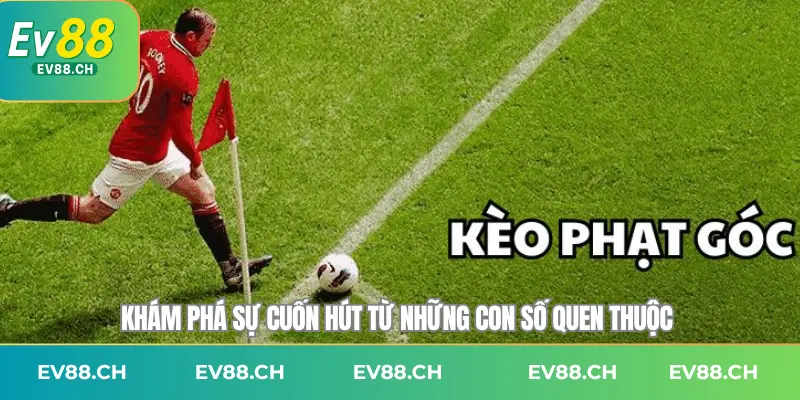 Khám phá sự cuốn hút từ những con số quen thuộc