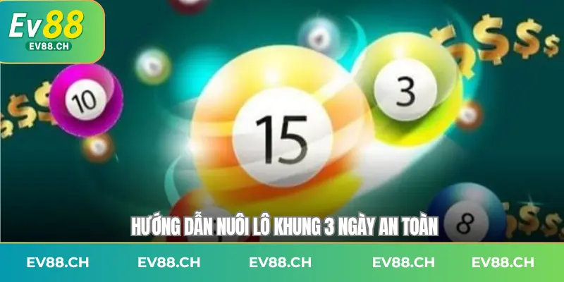 Hướng dẫn nuôi lô khung 3 ngày an toàn