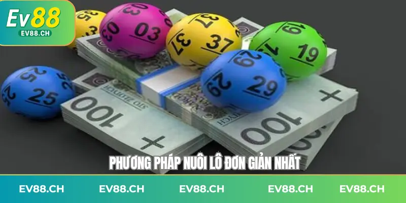 Phương pháp nuôi lô đơn giản nhất